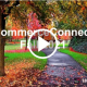 CommerceConnectFall21 - Fiwe